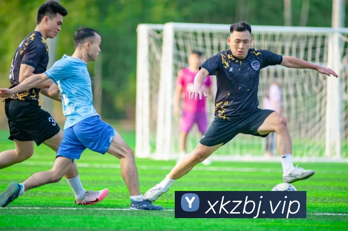 数据防护可视化